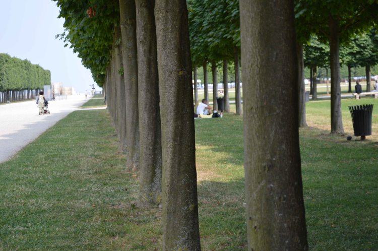 Jardin à la française 2