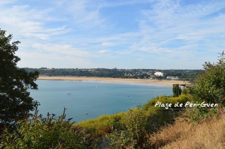 Saint-Cast-le-Guildo_Pointe de la garde3