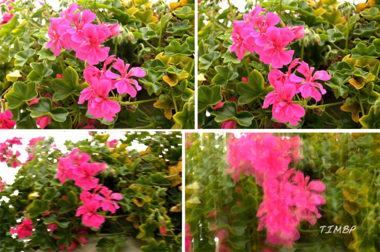 Exemple profondeur de champs