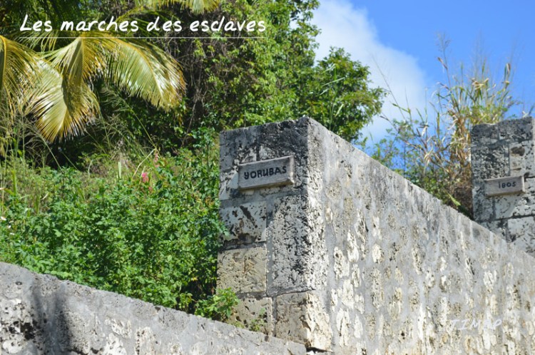 Les marches des esclaves2
