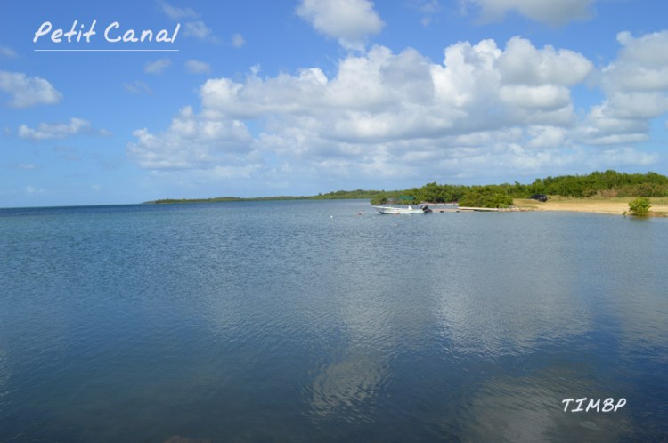 Petit Canal - Mangrove