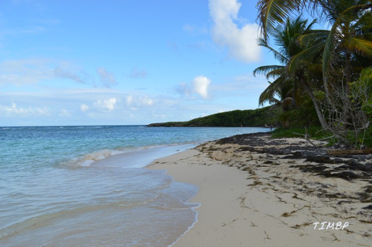 Plage ilet du Gosier