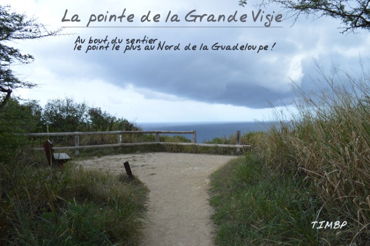 Pointe de la Grande Vigie1