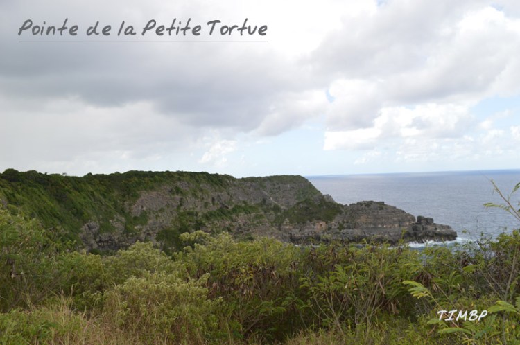 Pointe de la petite Tortue
