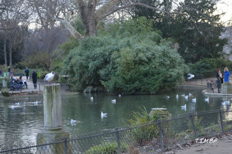 Parc Monceau1