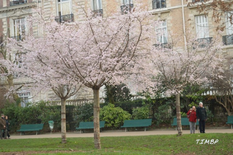 Parc Monceau4
