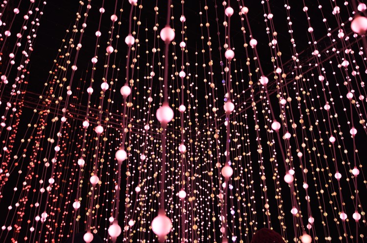 Christmas-at-kew-January-2015 (31) copy