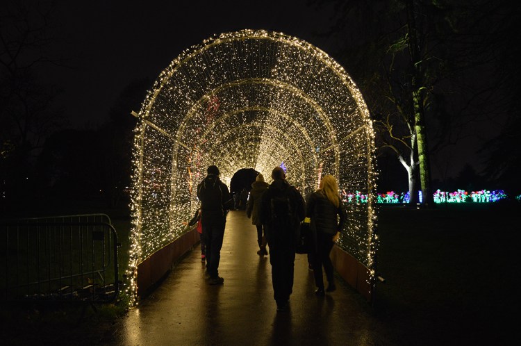 Christmas-at-kew-January-2015 (33) copy