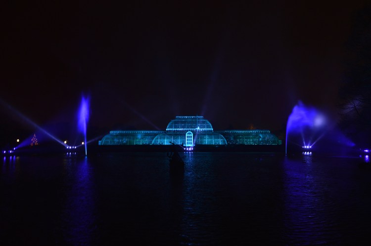 Christmas-at-kew-January-2015 (54) copy