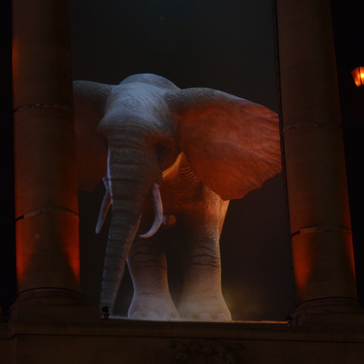 Lumiere London 2016 credit photo Being Missflo studio (55)