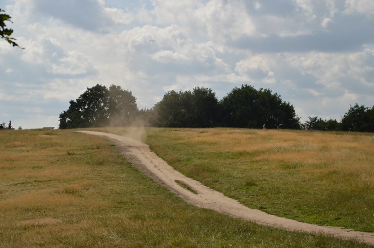 hampstead-heath-summer-2015 (15)