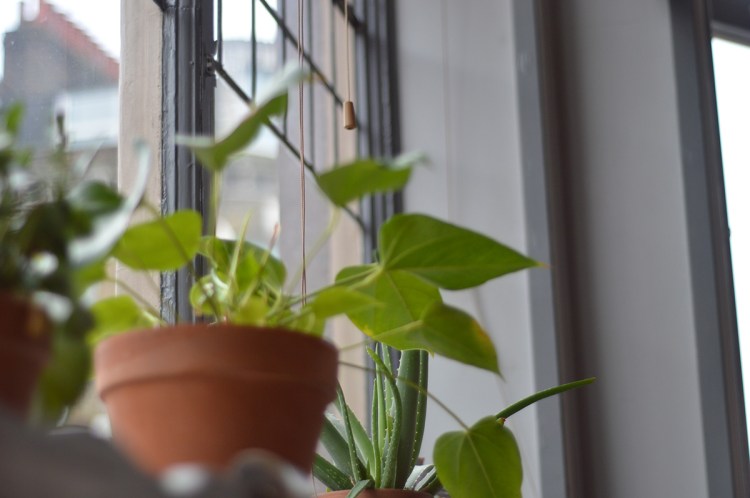 brunch-spoke-january-16-12